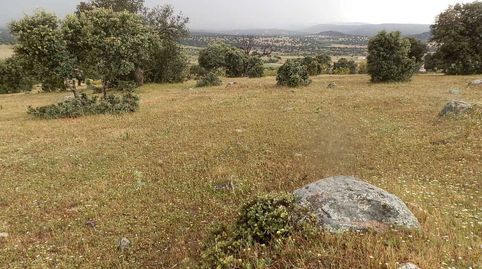 finca en venta ganadera recreo en Toledo, imatge 5