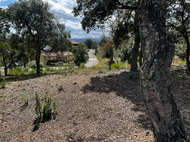 Terrain résidentiel à vendre à Urbanitzacio Mas Llunes 1869, imagen 6