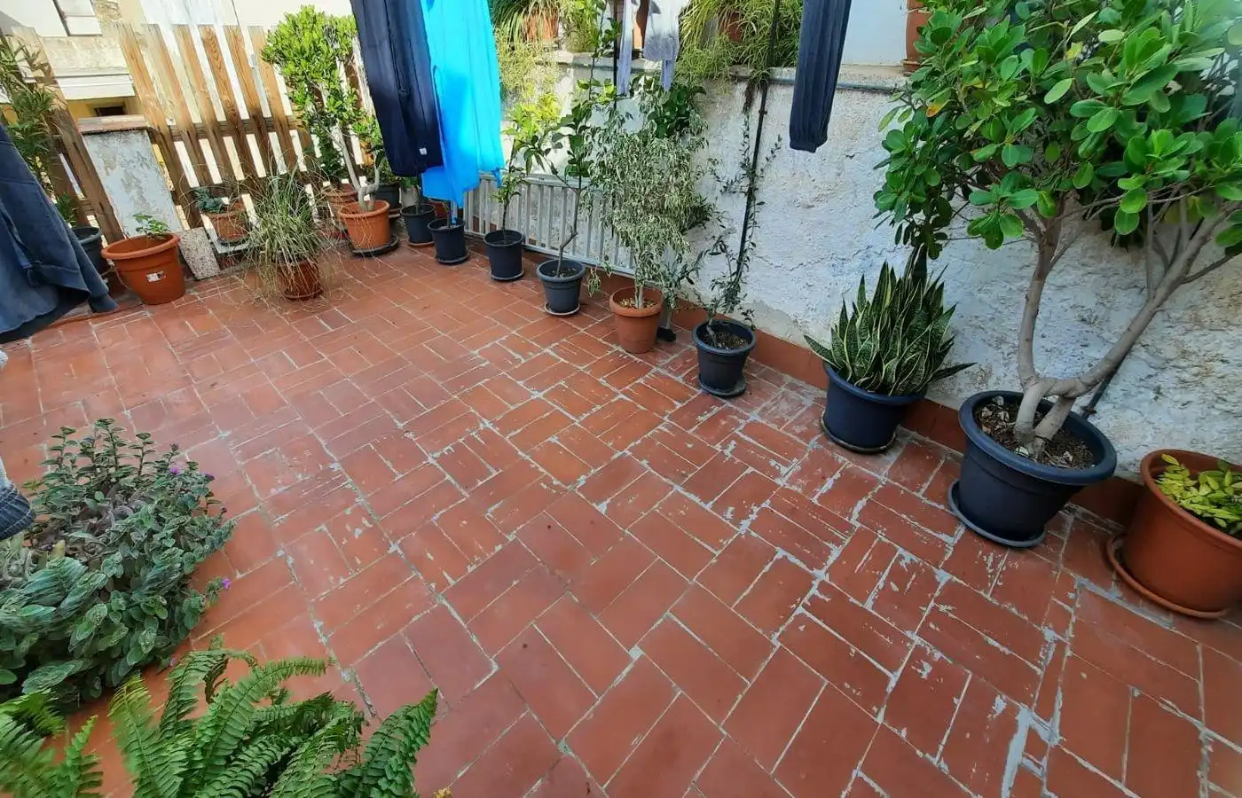 Terrasse von Haus oder Chalet zum Verkauf in Alcanar mit Terrasse
