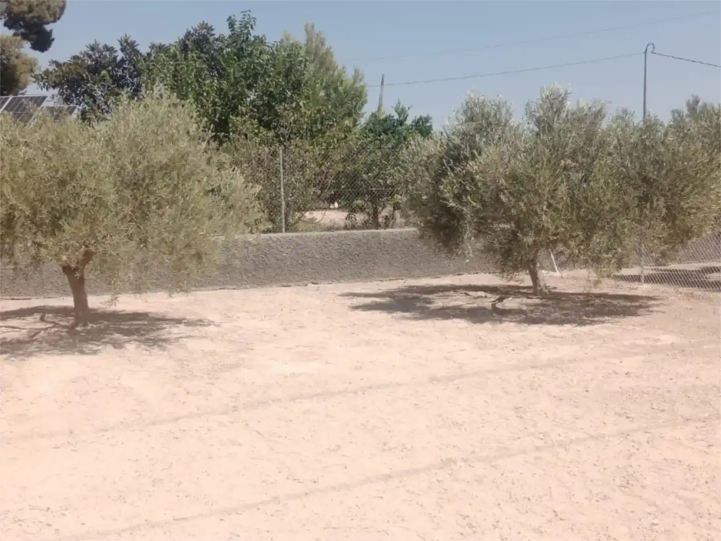 Garatge de lloguer en Elche / Elx