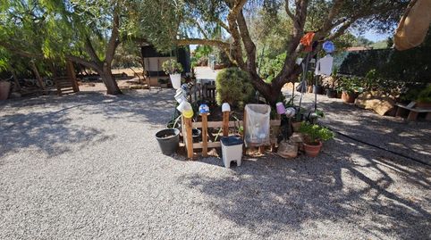 Encanto mediterráneo en Campos  Finca rústica con carácter y sostenibilidad, Bild 2