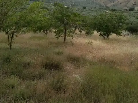 Terreni e lotti in vendita a la fuente de la higuera 22, imagen 11
