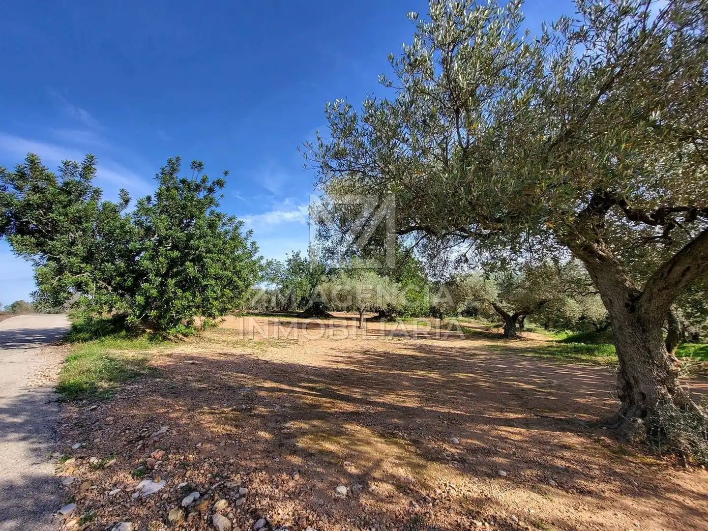 Terreno rustico in vendita a Traiguera, imagen 2