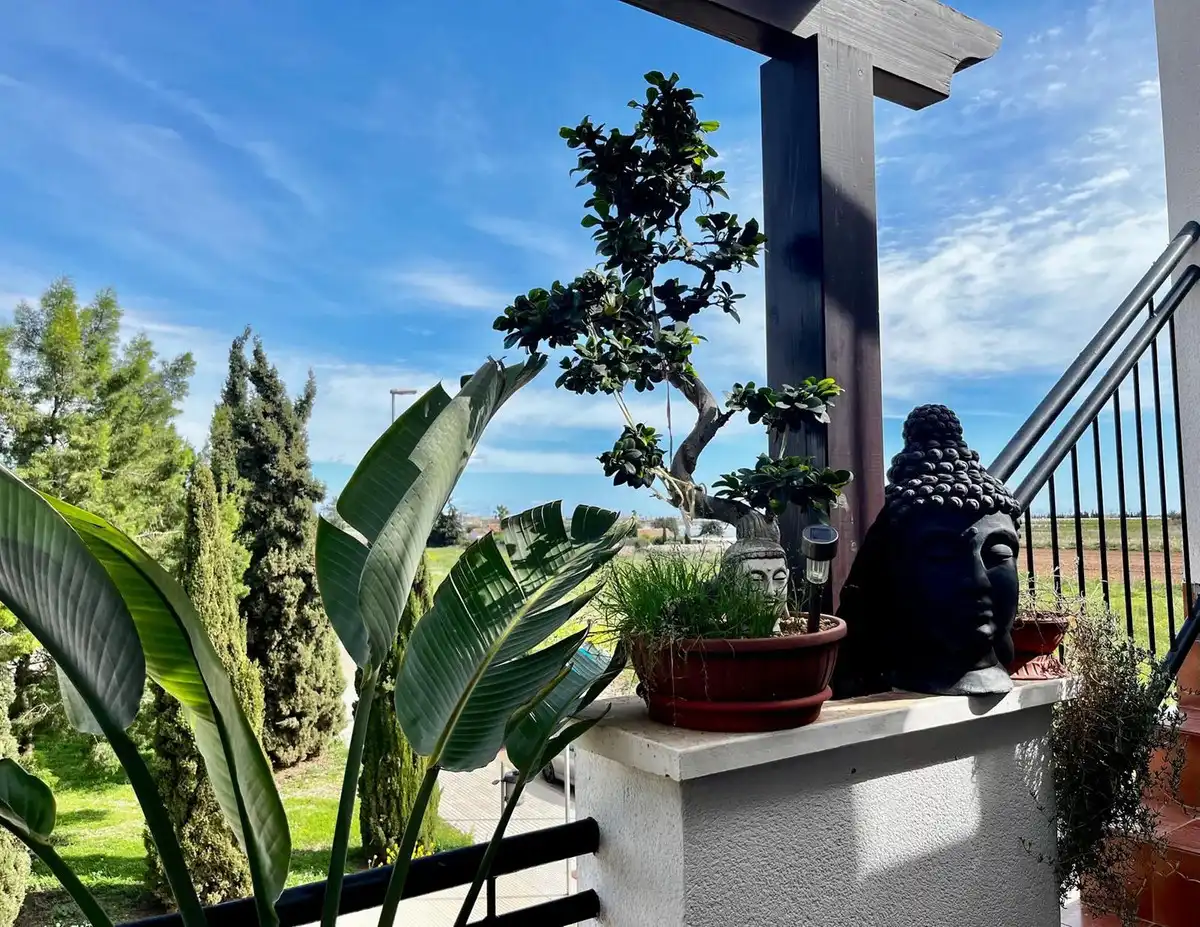Terrassa de Apartament en venda en Cartagena amb Aire condicionat, Terrassa i Traster
