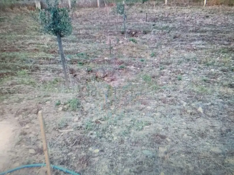 Houses for sale in O Bolo , Ourense