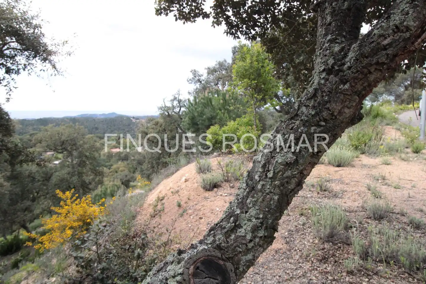 Terreni e lotti in vendita a Lloret Residencial - Montlloret, imagen 18