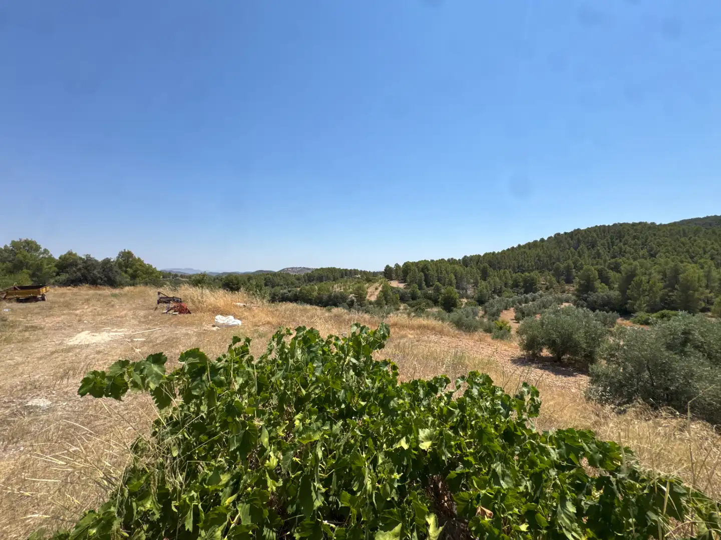 Rural land for sale in N/A, imagen 39