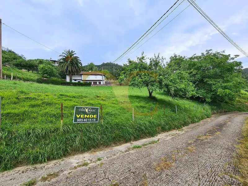Terreno rustico in vendita a Niao, imagen 17