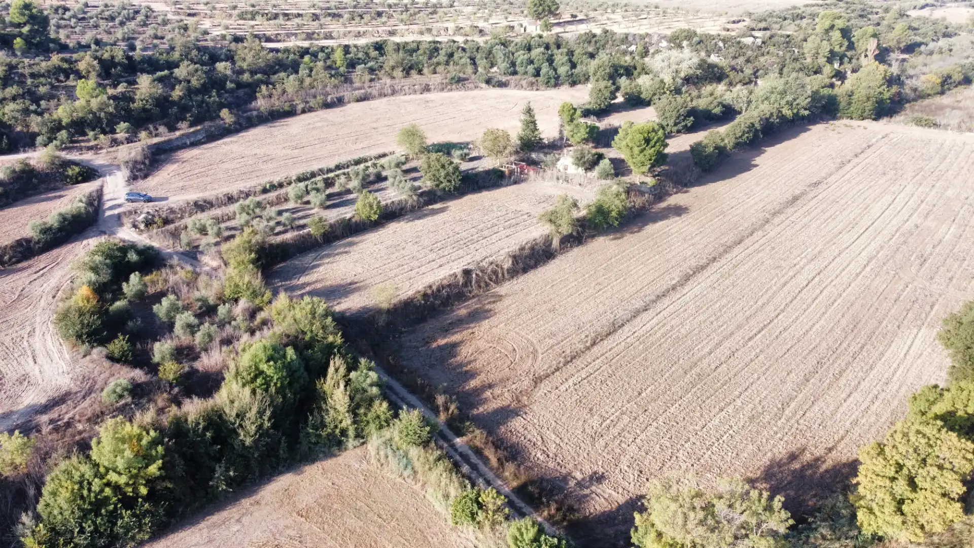Rural land for sale in Arbeca, imagen 3
