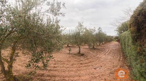Photo 3 of Residential for sale in Ciudad Jardín, Badajoz