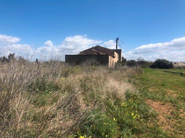 Terreno en Venta en N/A, 38 en El Coll d'en Rabassa