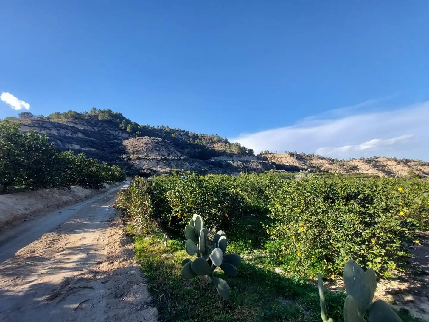 Terrenys i solars en venda a Camino Camino Cañada Umbría, imagen 2
