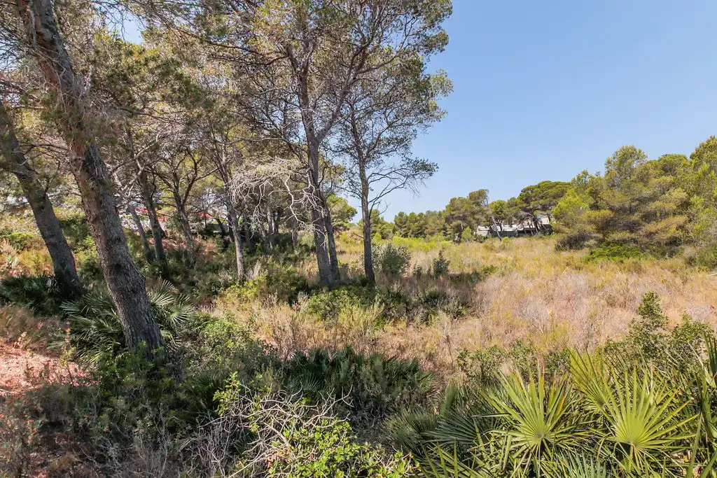 Terreno en venta en L'Ametlla de Mar 