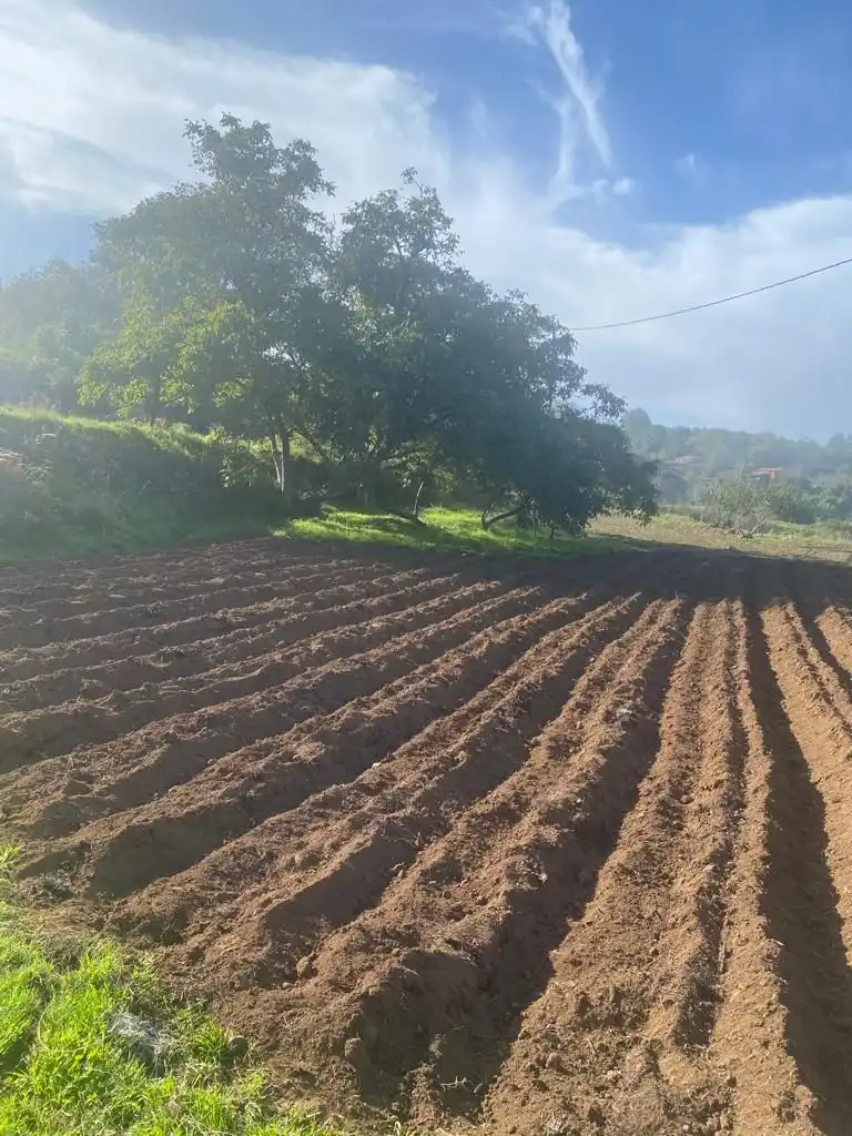 Terreny en venda en Icod de los Vinos