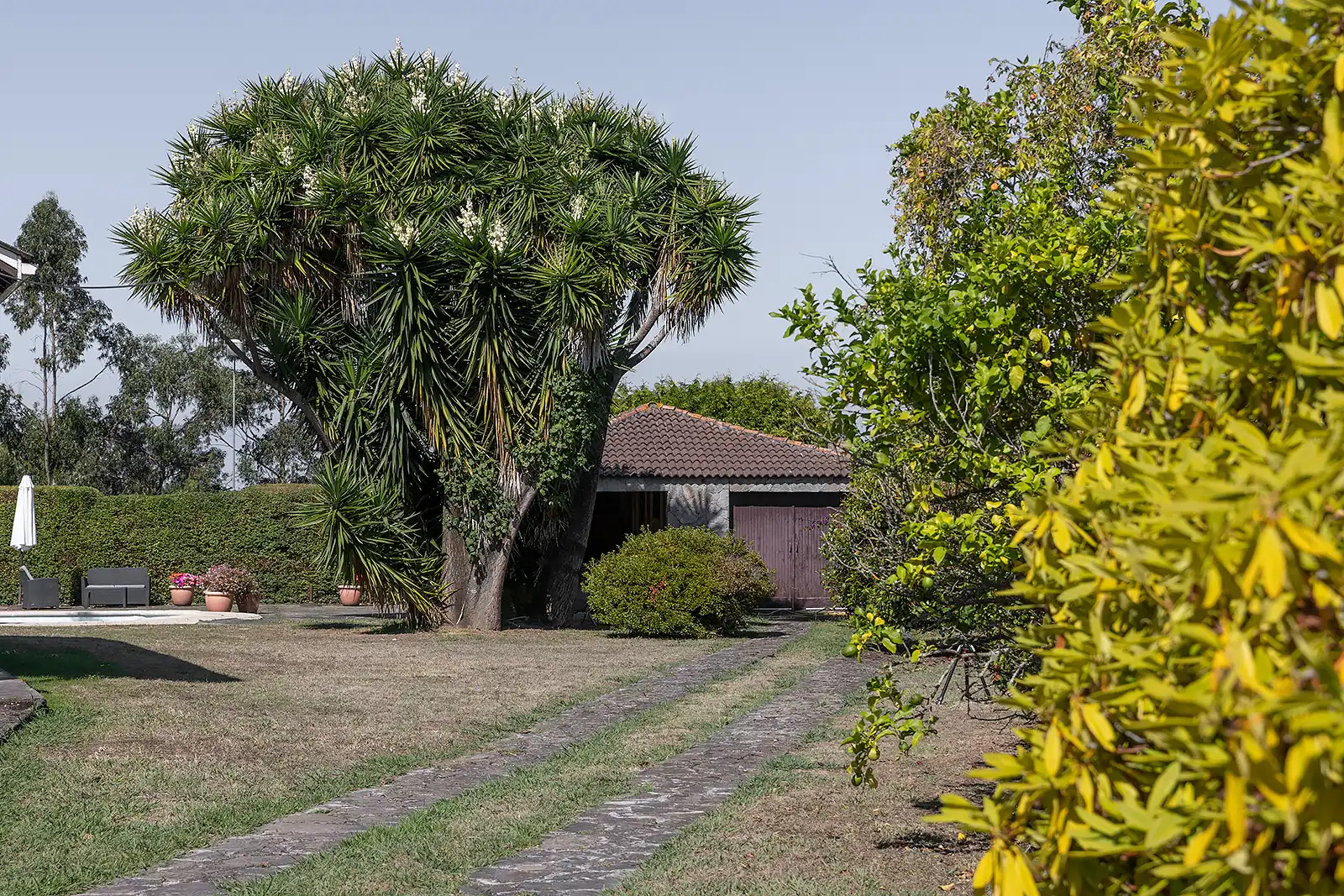 Jardín de Casa o chalet en venta en Oleiros con Calefacción, Jardín privado y Piscina
