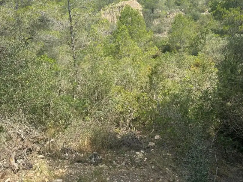 Terreno en venta en Tivissa