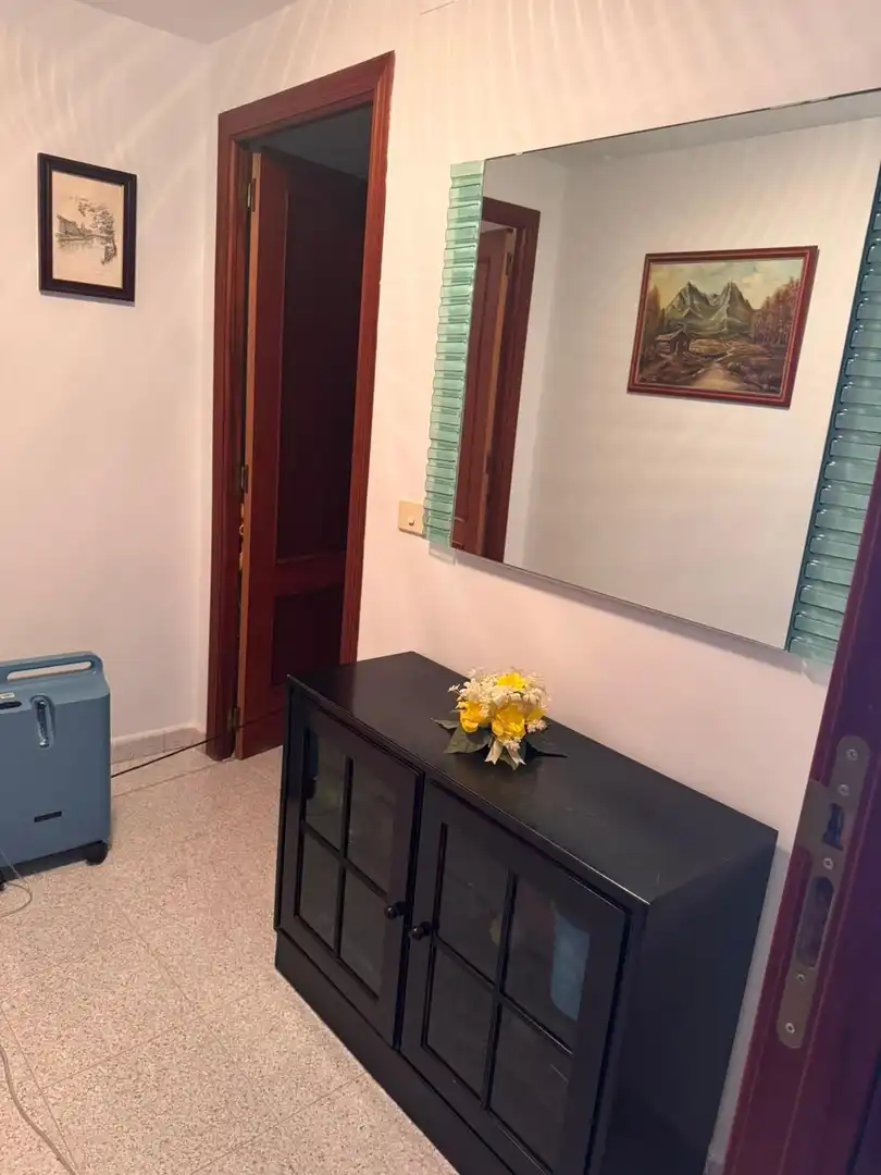Apartament amb ascensor en venda a Les Palmeres, imagen 2