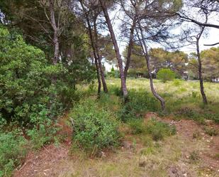 Land for sale in Jávea / Xàbia