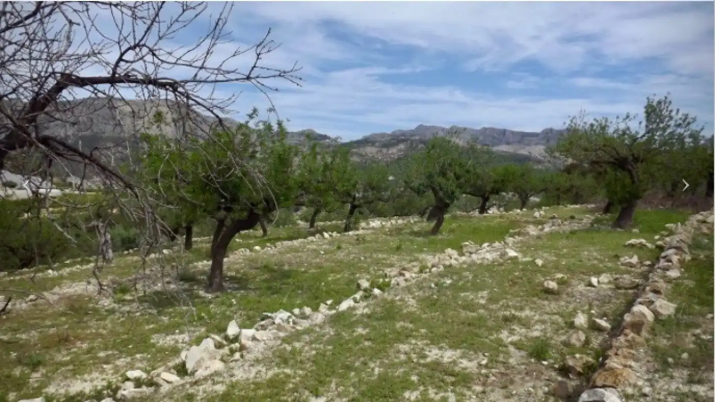 Land for sale in Bolulla