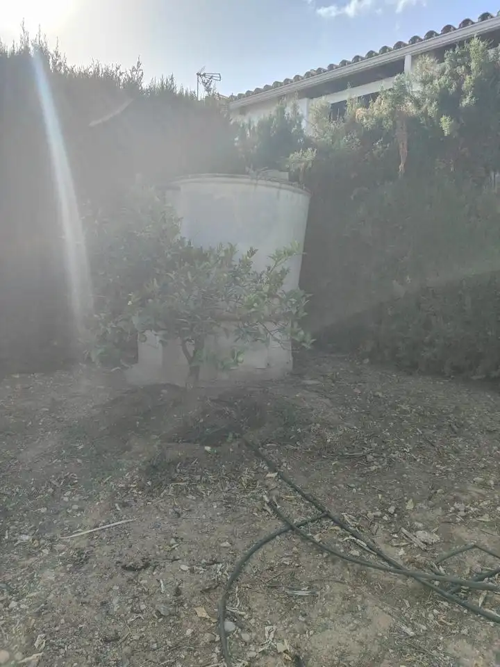 Jardí de Casa o xalet de lloguer en Alhaurín de la Torre amb Aire condicionat, Jardí privat i Piscina