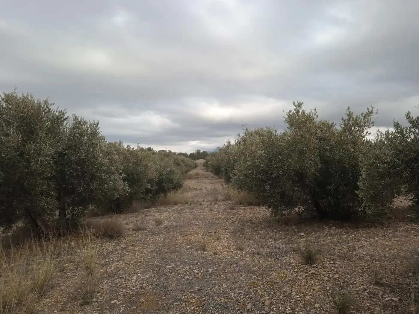 Casa in vendita a Guadix, imagen 31