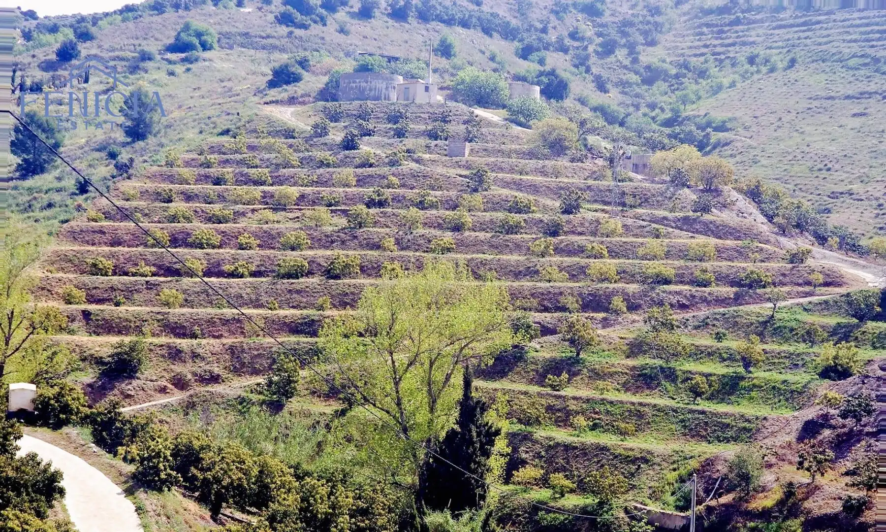 Terreno rustico in vendita a Ítrabo, imagen 5