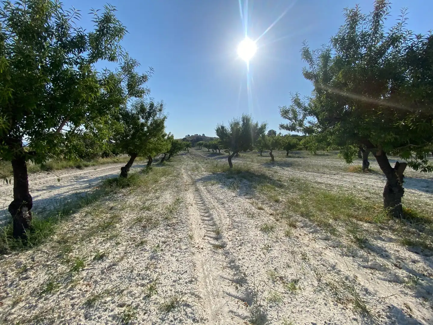 Villa à vendre à Moratalla, imagen 85