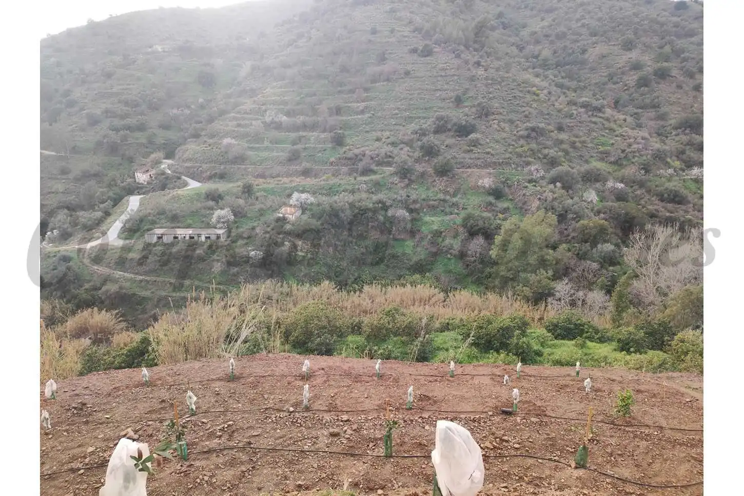 Rustikales Grundstück zum Verkauf in Torrox Pueblo