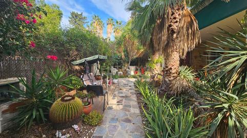 Photo 3 of House or chalet to rent in Calle Ubaldo Capdepón, Alicante, Spain, -1, Ciudad Jardín, Alicante