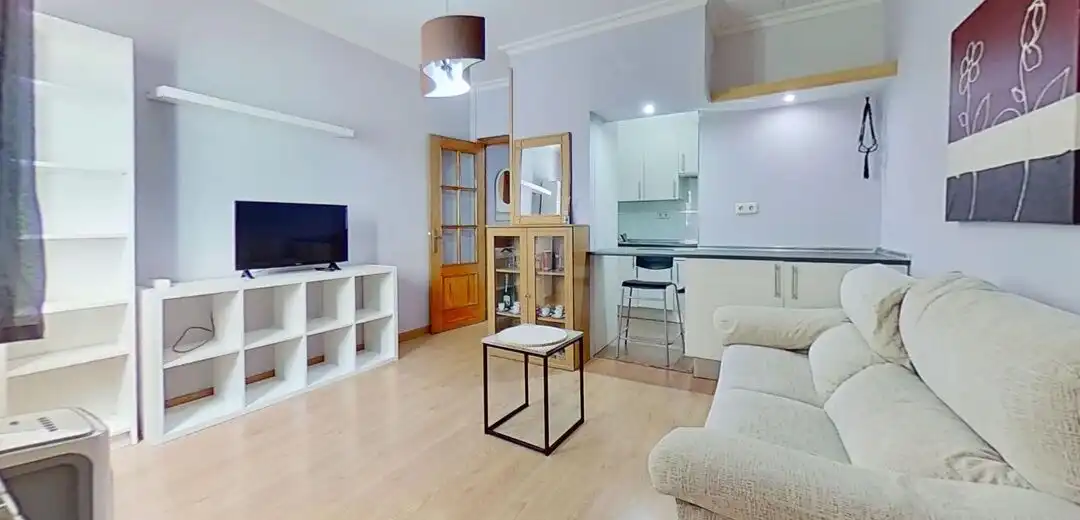 Sala d'estar de Pis de lloguer en  Madrid Capital amb Calefacció, Rentadora i TV