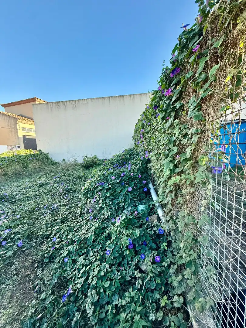 Außenansicht von Einfamilien-Reihenhaus zum Verkauf in Tarifa mit Terrasse