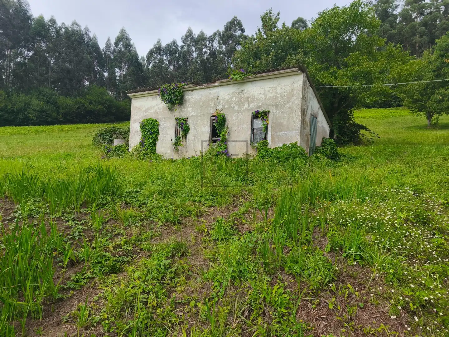 Casa en venda a SEARA. FERREIRA, imagen 33