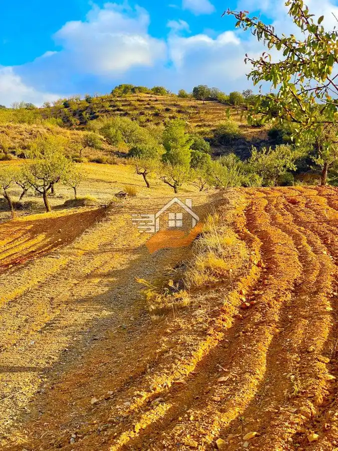 Residential land for sale in Vélez-Rubio, imagen 12