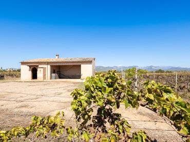 Country house with garden for sale in Camino POLIGONO 5