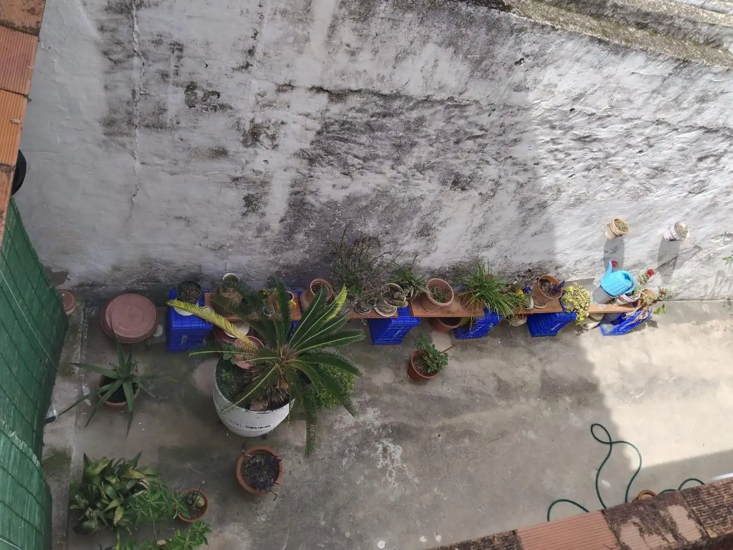 Terraza de Piso en venta en Carcaixent
