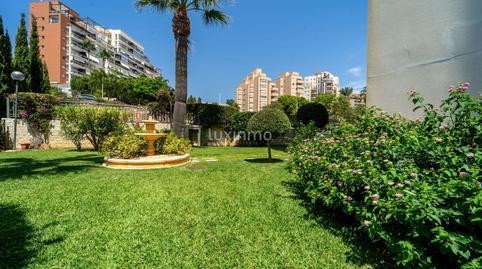 Foto 2 de Planta baixa en venda a Canuta, Alicante