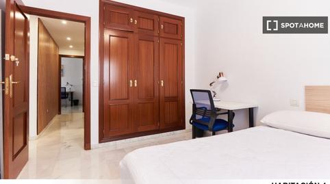 Foto 4 de Pis per a compartir a La Oliva,  Sevilla Capital