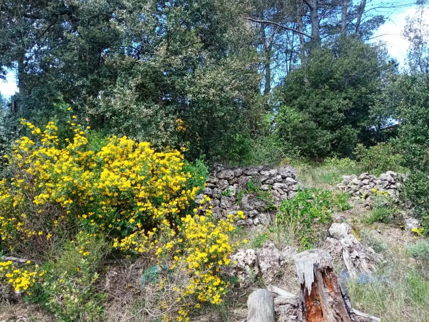 Casa o xalet en venda a Torrelles de Foix
