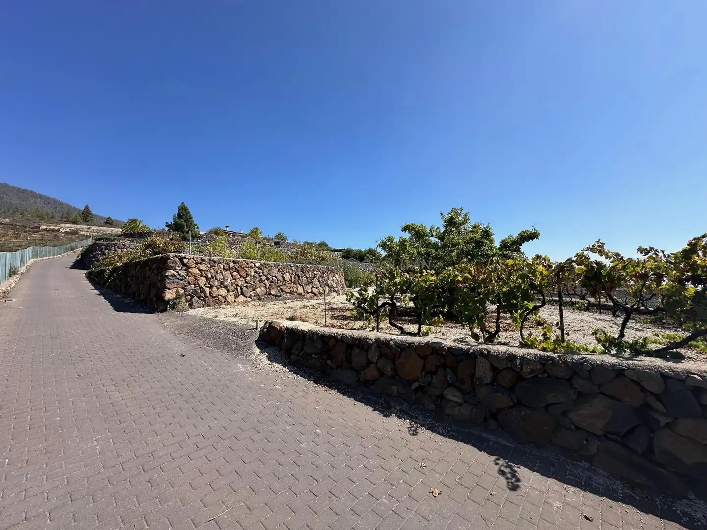 Country homes for sale in Cruz de Tea