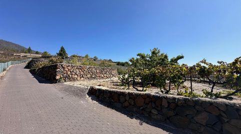 Foto 3 de Finca rústica en venda a Cruz de Tea, Granadilla de Abona