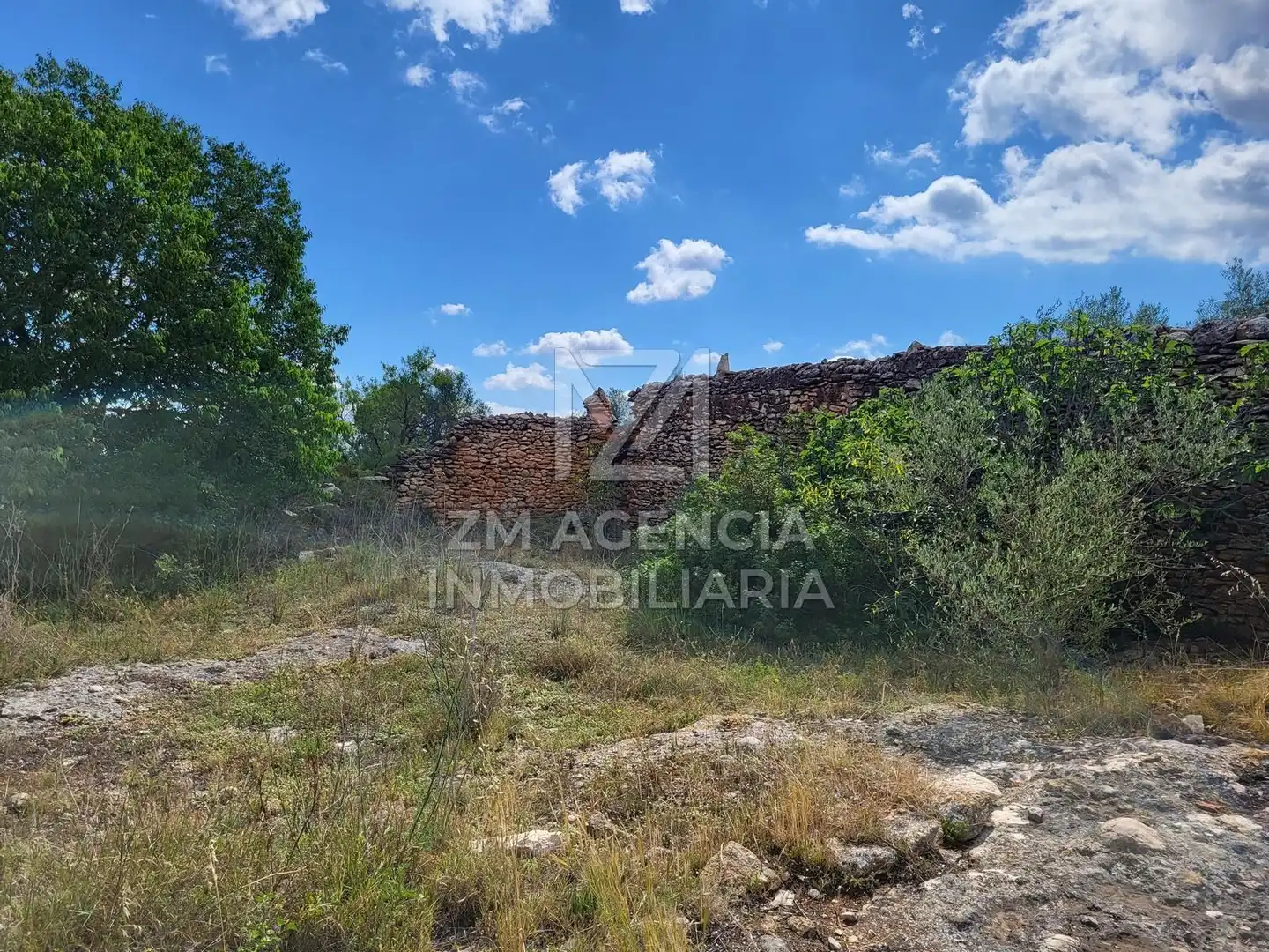 Terreno rustico in vendita a Traiguera, imagen 10
