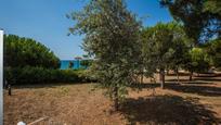 Jardí de Casa o xalet en venda en Sant Pol de Mar amb Aire condicionat, Terrassa i Balcó