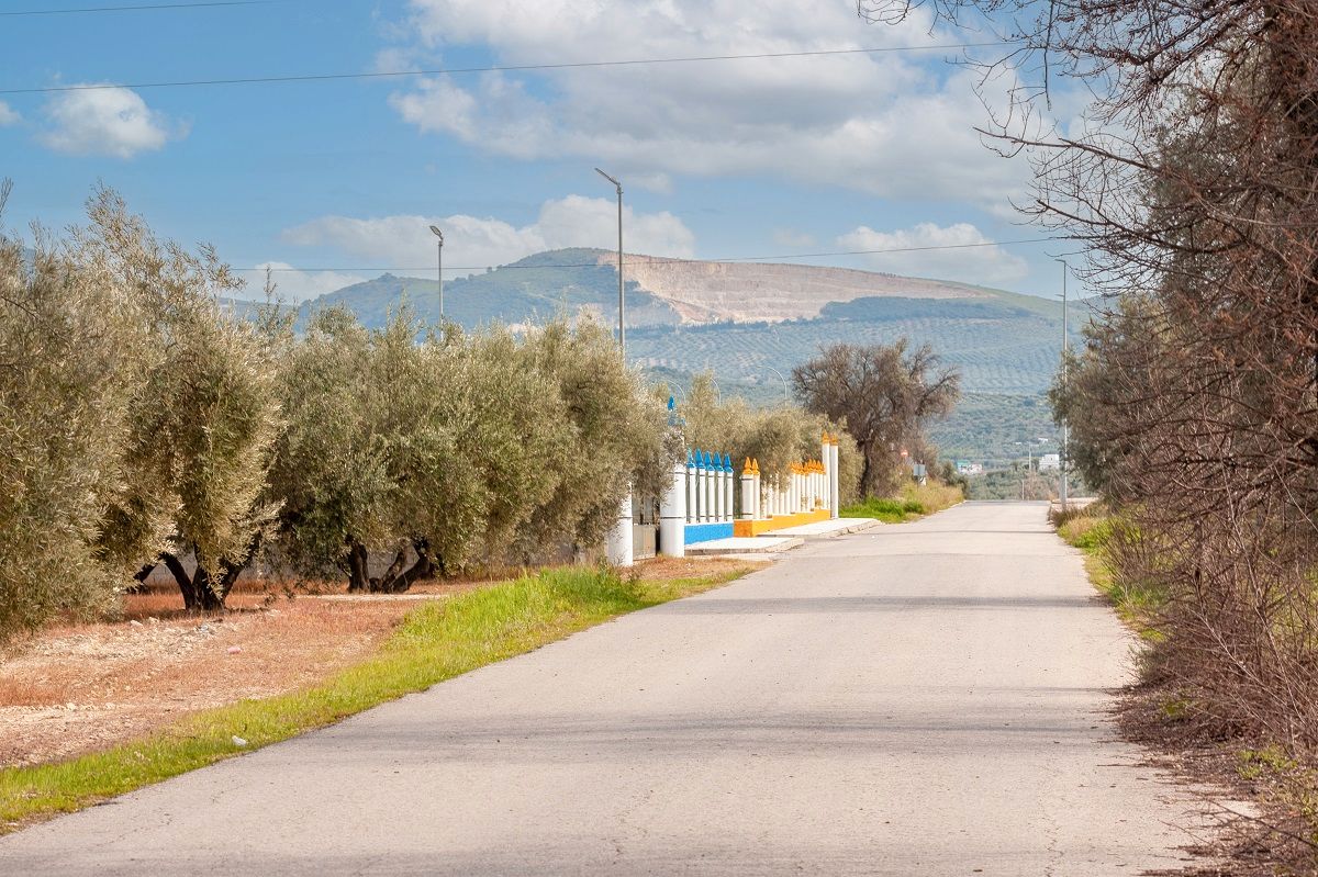 Exterior view of Industrial buildings for sale in Cabra