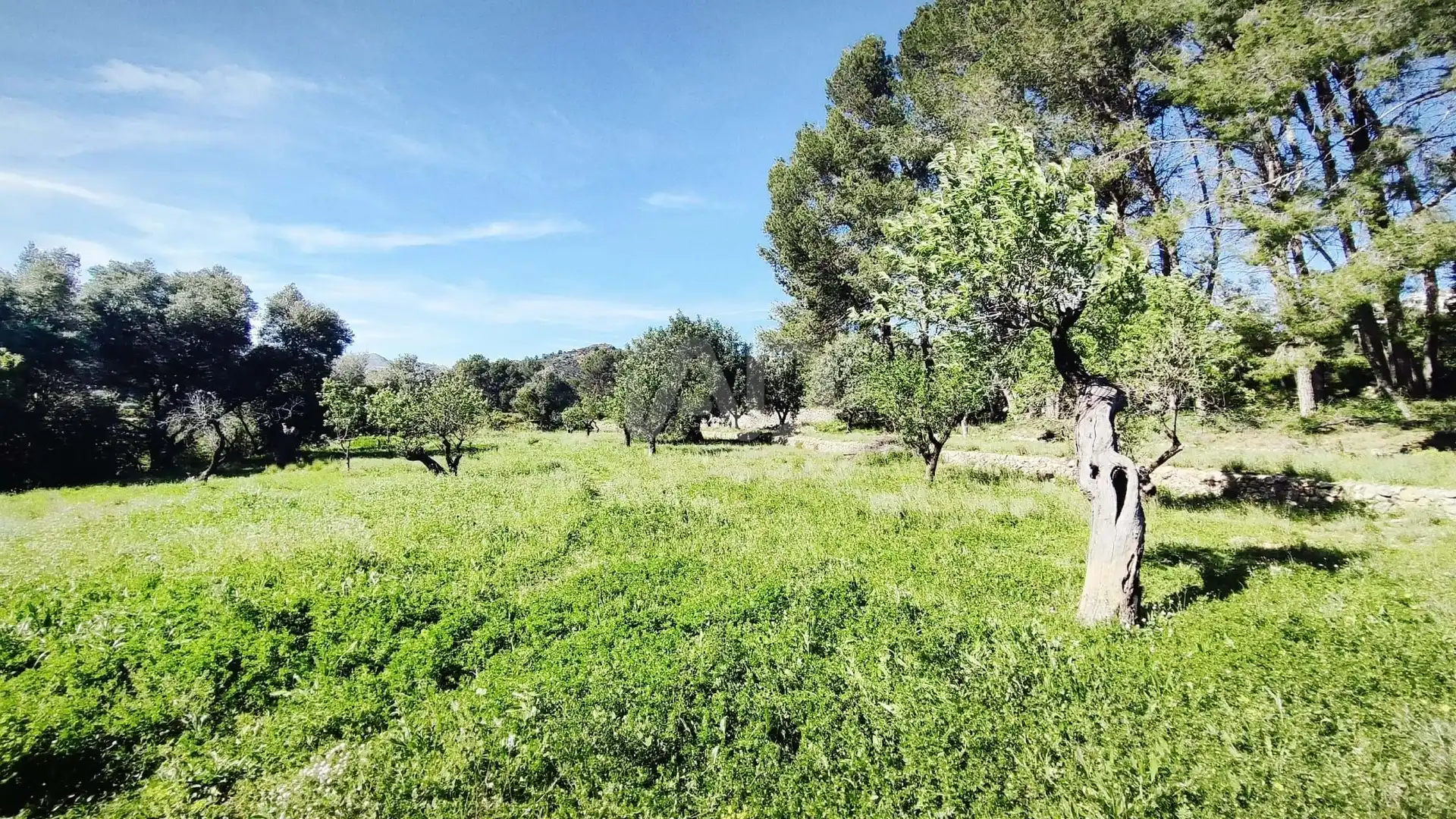 Residential for sale in Murla