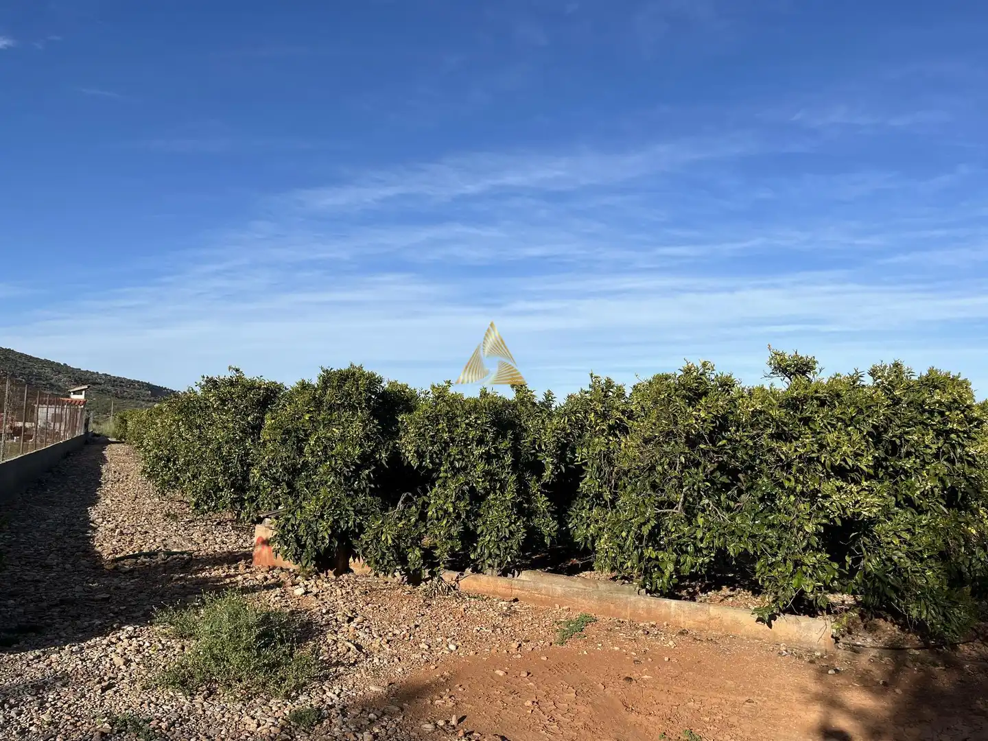 Terrenos y solares en venta en Pueblo, imagen 16