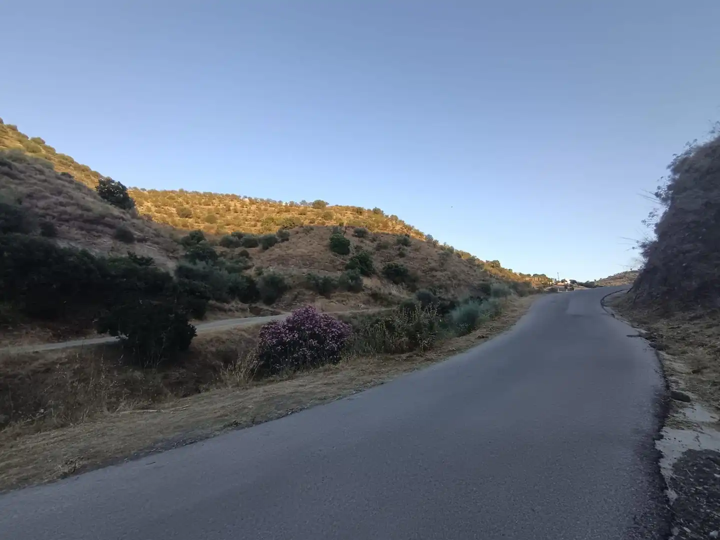 Terrenys i solars en venda a Canillas de Aceituno, imagen 15