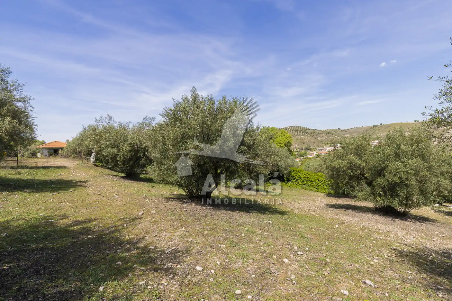 Casa o chalet en venta en Valverde de Alcalá con Calefacción, Terraza y Trastero