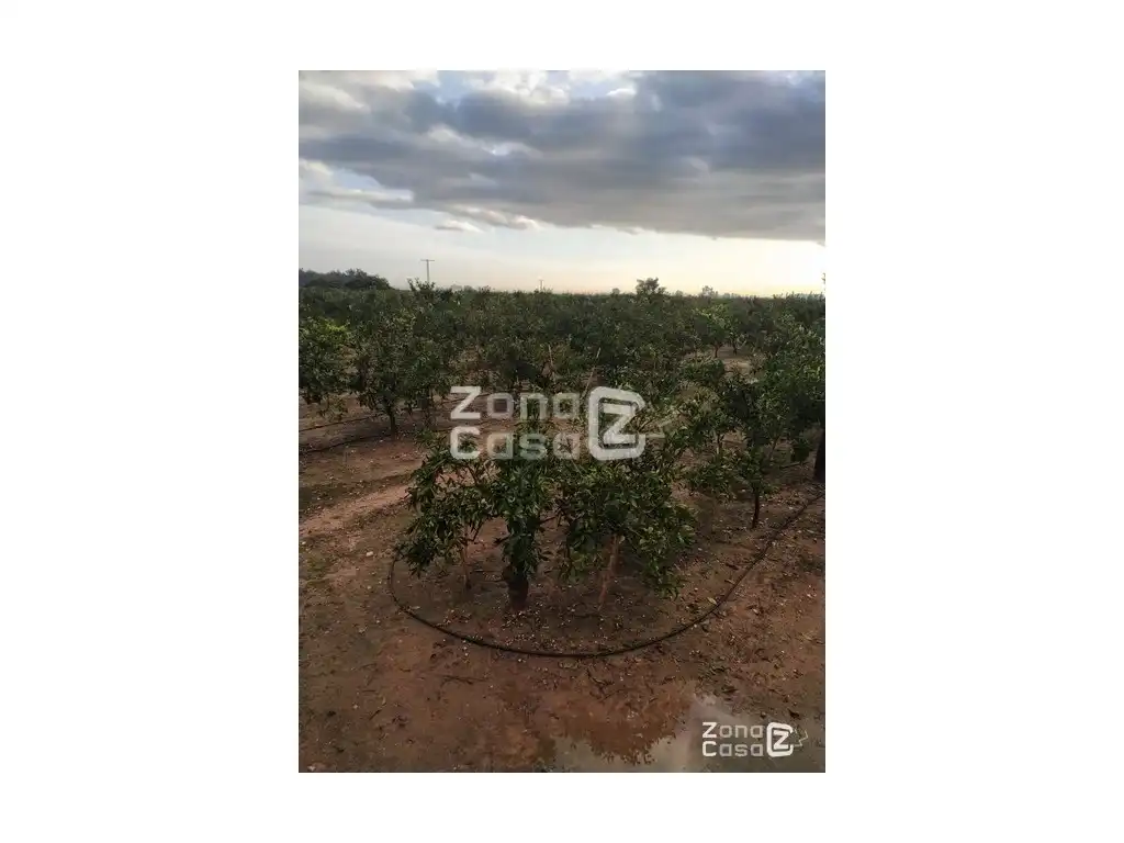 Country house for sale in Algemesí, imagen 3