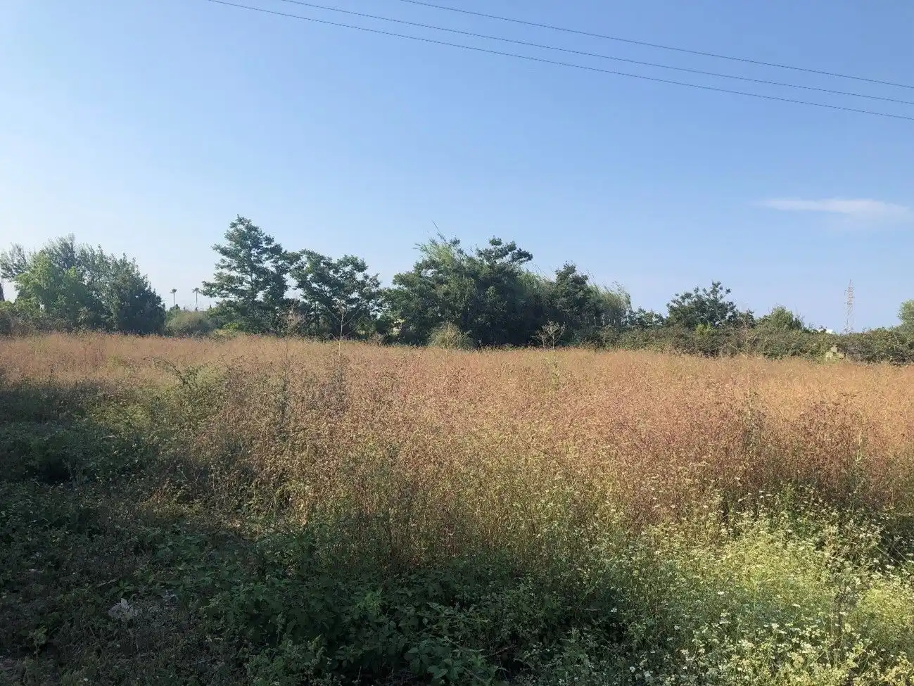 Terreno residencial en venta en Partida Fuente Del Olmo, Racó Lleches Adscrito P., imagen 6