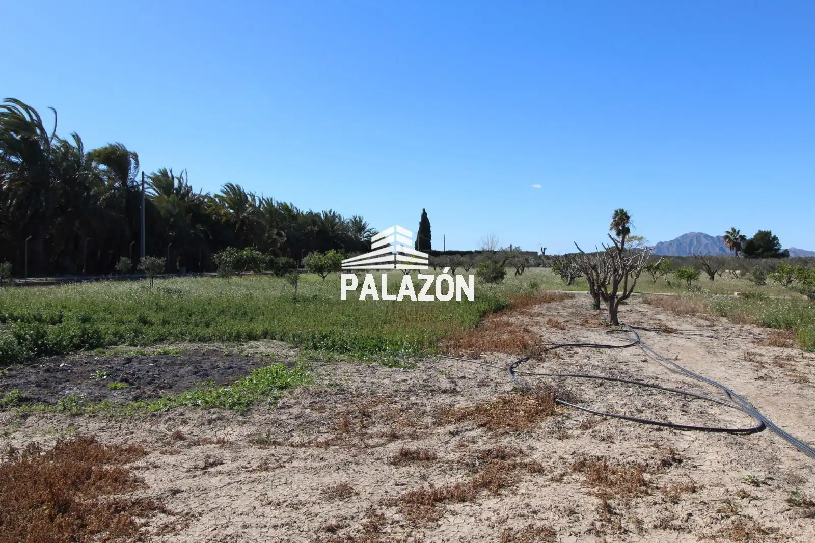 Chalet en venta en Dolores, imagen 35